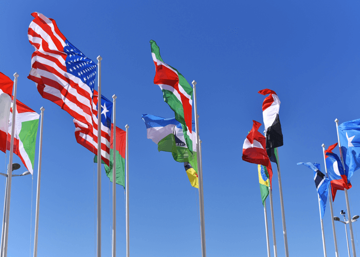 International NGO